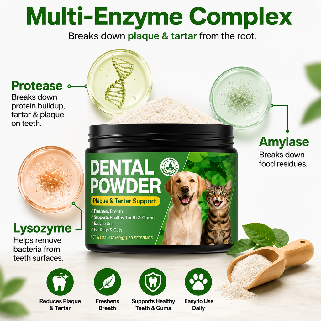 Greystone Harbour Dental Powder (All sizes)